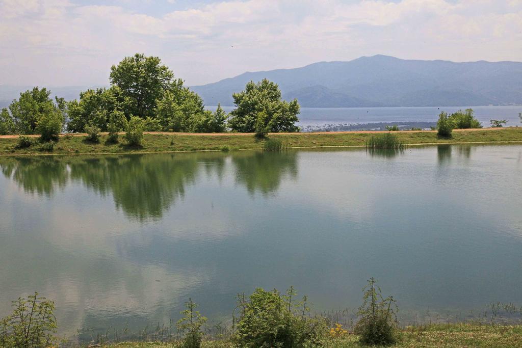 Refanidis Natural Luxury Hotel Áno Poróïa Eksteriør billede